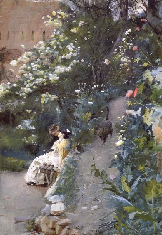 Anders Zorn Unknow work 41 china oil painting image